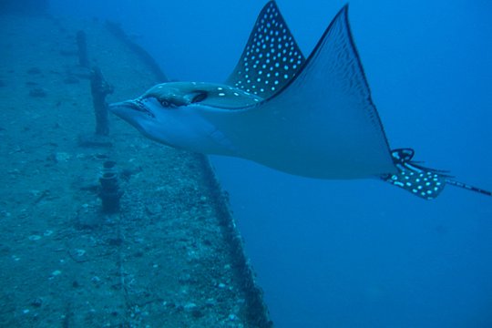 Tour image 5