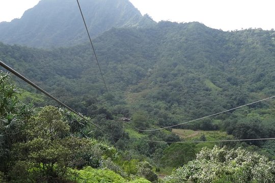 Tour image 5