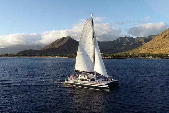 Tour image 7