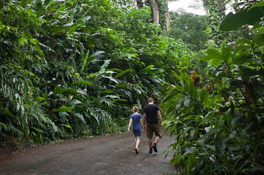 Tour image 6