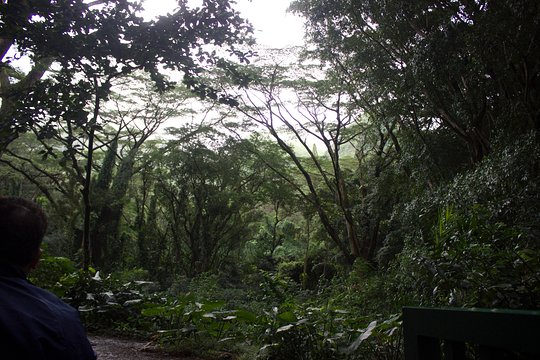 Tour image 10