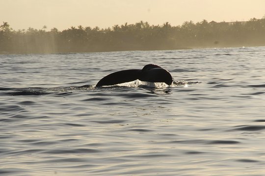 Tour image 11