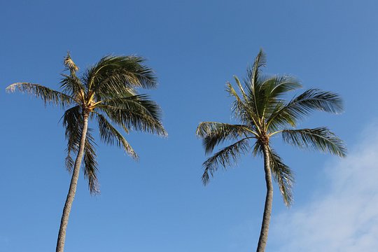 Tour image 4