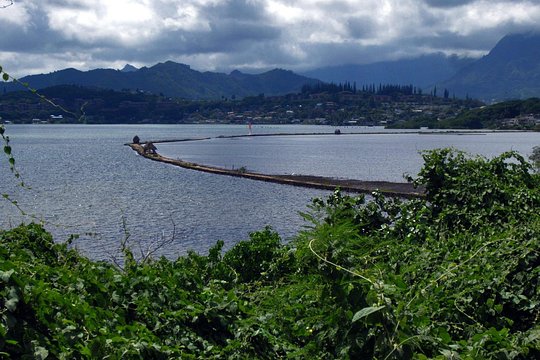 Tour image 12