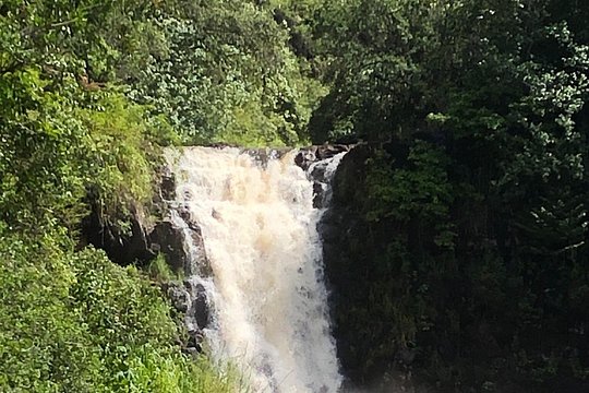 Tour image 5