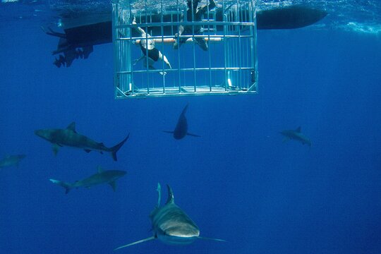 Tour image 1