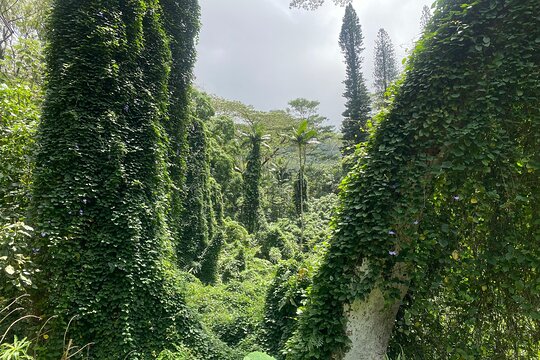 Tour image 5