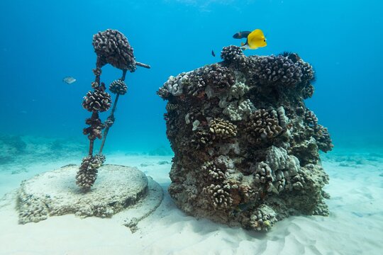 Tour image 6