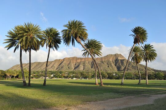 Tour image 4