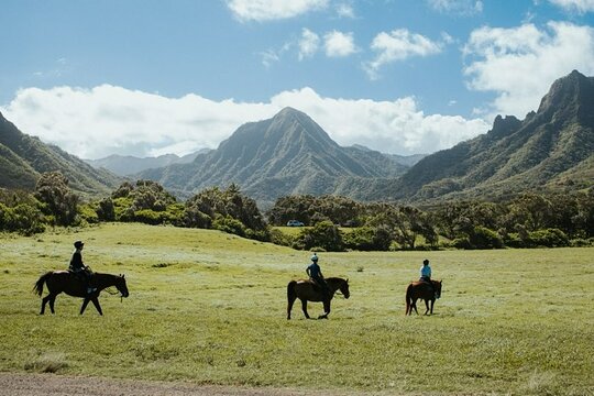 Tour image 8