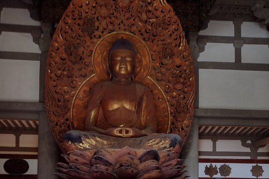 Tour image 9