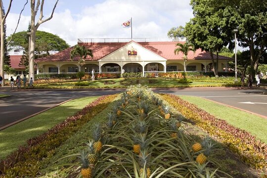 Tour image 6