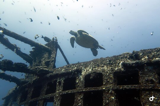Tour image 4