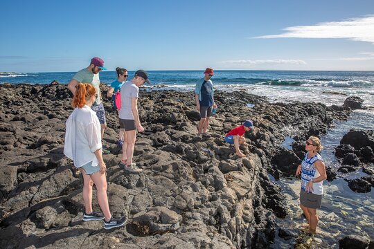 Tour image 5