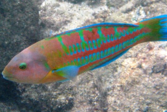 Tour image 6