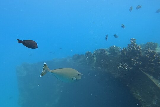 Tour image 8