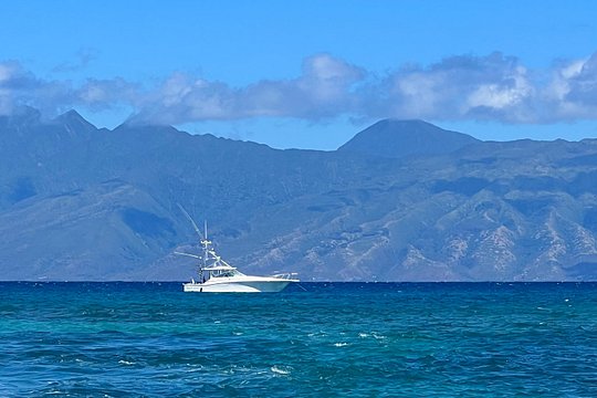 Tour image 5