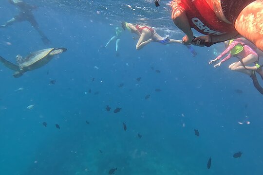 Tour image 10