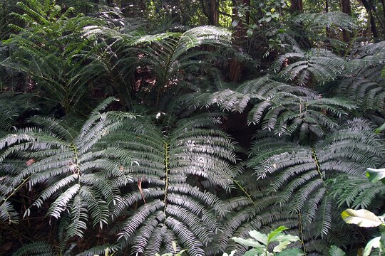 Tour image 11