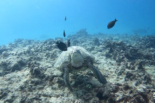 Tour image 1