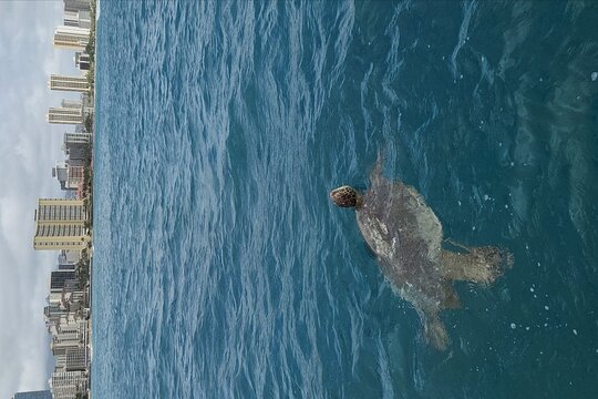 Tour image 5