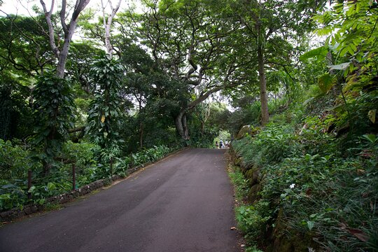 Tour image 9