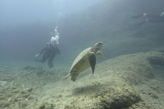 Tour image 5