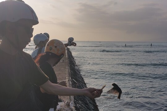Tour image 11