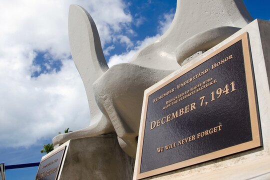 Tour image 8